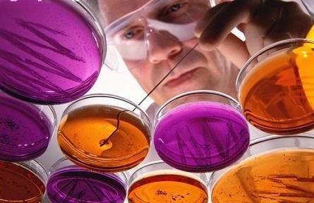 魔力果功能微生物